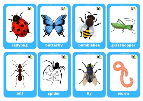 Bug & Insect Games .